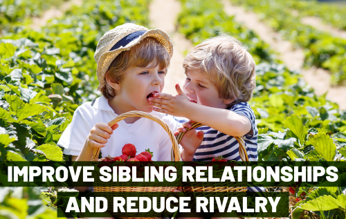 Tactics to improve Sibling Rivalry and to build the relationship between kids_Blog | MKH ParentSpace